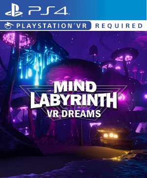 Mind Labyrinth VR Dreams