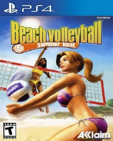 Summer Heat Beach Volleyball