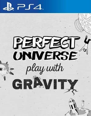 Perfect Universe