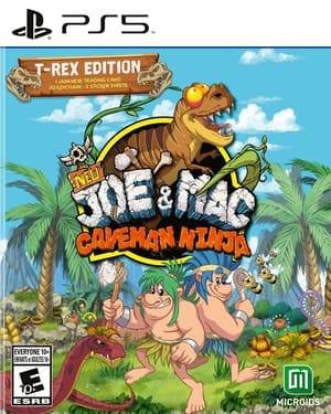 New Joe and Mac Caveman Ninja