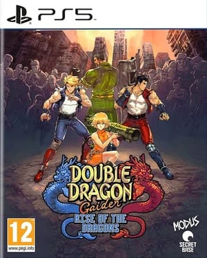 Double Dragon Gaiden Rise of The Dragons