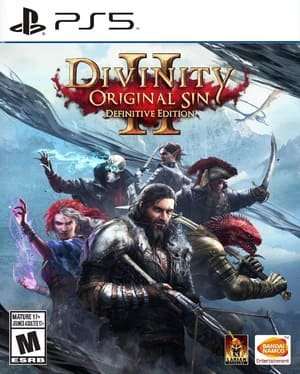 Divinity Original Sin 2 Definitive Edition